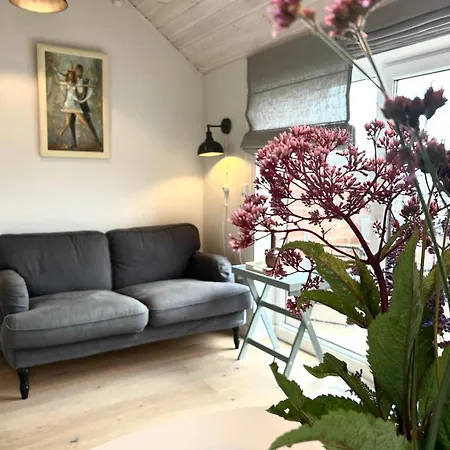 #stayhere - Light 2 Bdr * Druskininkai