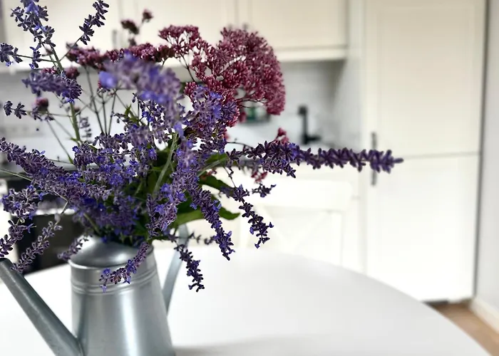 #stayhere - Light 2 Bdr Apartment Druskininkai